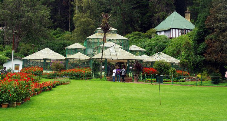 Places To Visit In Ooty In One Day